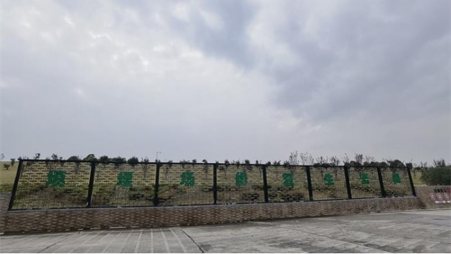 某生活垃圾填埋場污水重金屬排口監測案例